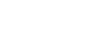 Logo Wielton